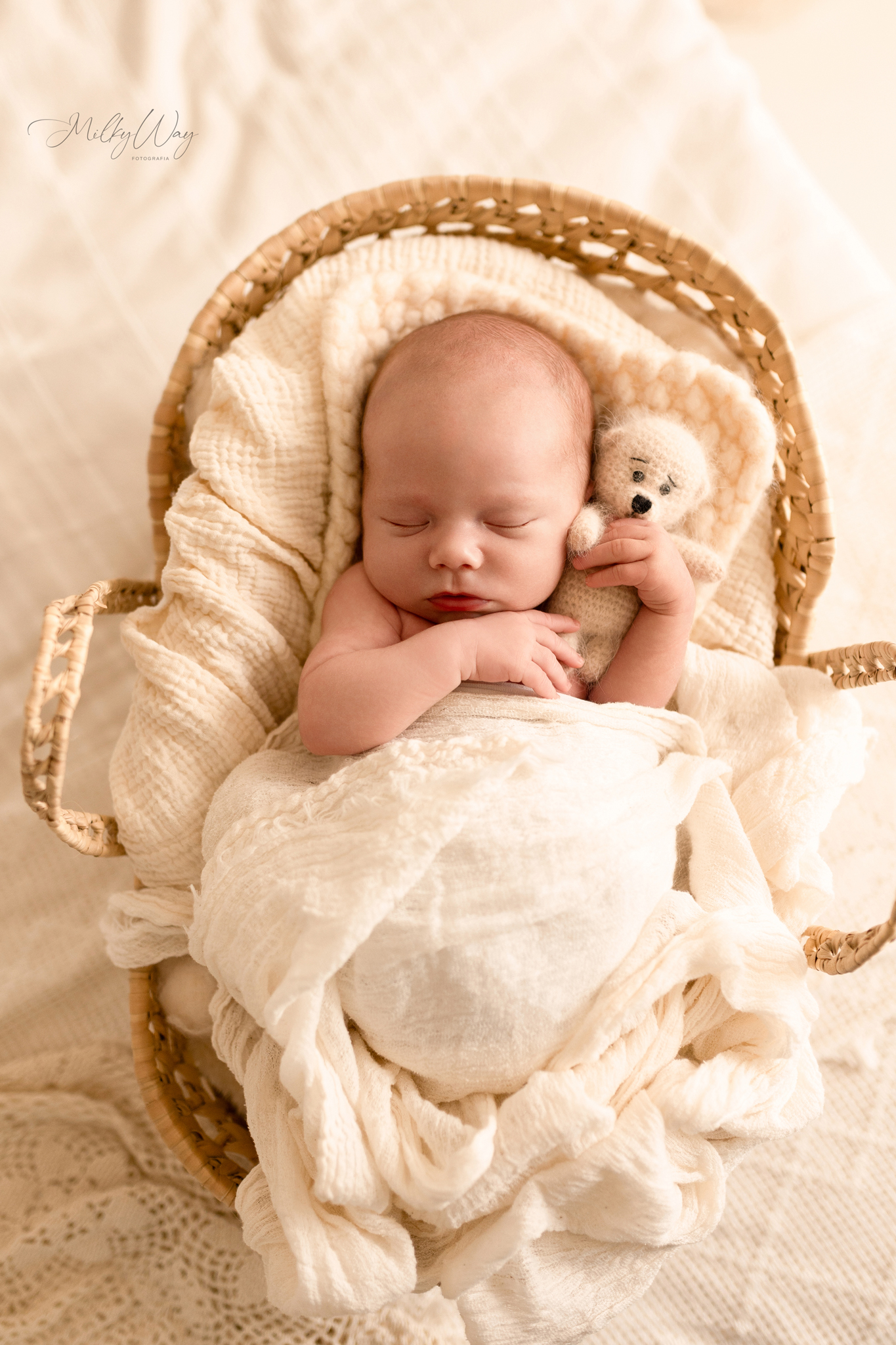 473674076_1147938557337179_2498676579453041101_n